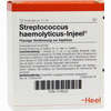 Streptococcus Haemolyticus- Injeel Ampullen  10 Stück - ab 18,02 €