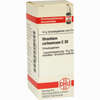 Strontium Carbonicum C30 Globuli 10 g - ab 7,09 €