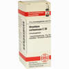 Strontium Carbonicum C30 Globuli 10 g - ab 7,49 €