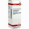 Strophanthus D4 Dilution 20 ml - ab 8,69 €