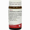 Strophanthus Kombe E Semine D6 Globuli  20 g - ab 8,31 €