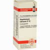Strychninum Nitricum D12 Globuli 10 g - ab 6,89 €