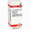 Sulfur D10 Globuli 10 g - ab 6,98 €