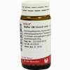 Sulfur D6 Globuli 20 g - ab 7,18 €