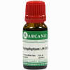 Symphytum Arca Lm 18 10 ml - ab 10,28 €