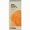 Synergon Kompl Acid Ben 66 Tropfen 50 ml - ab 12,36 €