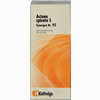 Synergon Kompl Actaea Spicata S Nr.95 Tropfen 50 ml - ab 12,36 €