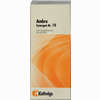 Synergon Kompl Ambra 10 Tropfen 50 ml - ab 11,90 €