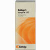 Synergon Kompl Badiaga S Nr.157 Tropfen 50 ml - ab 12,36 €