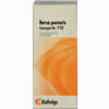 Synergon Kompl Burs Pa 110 Tropfen 50 ml - ab 11,49 €