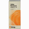 Synergon Kompl Calc F N114 Tropfen 50 ml - ab 12,36 €