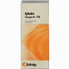 Synergon Kompl Ephedra 126 Tropfen 50 ml - ab 12,29 €