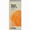 Synergon Kompl Merc So N46 Tropfen 50 ml - ab 11,99 €