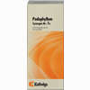 Synergon Kompl Podoph N 7a Tropfen 50 ml - ab 11,81 €