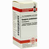 Syzygium Jamb D2 Globuli 10 g - ab 7,55 €