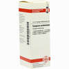 Syzygium Jamb D4 Dilution 20 ml - ab 8,69 €