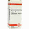 Syzygium Jamb D4 Tabletten 80 Stück - ab 8,69 €