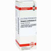 Syzygium Jamb D6 Dilution 20 ml - ab 8,69 €