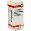 Syzygium Jamb D6 Globuli 10 g - ab 6,95 €