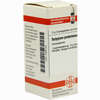 Syzygium Jambolanum C30 Globuli 10 g - ab 7,84 €