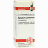 Syzygium Jambolanum D10 Globuli 10 g - ab 7,55 €