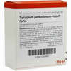 Syzygium Jambolanum- Injeel Forte Ampullen  10 Stück - ab 16,40 €
