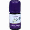 Taoasis Cajeput Bio Öl 5 ml - ab 5,22 €