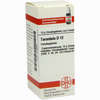 Tarantula D12 Globuli 10 g - ab 7,55 €