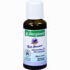 Teebaum Bergland Öl 30 ml - ab 6,09 €