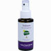 Teebaum Fuss Spray  50 ml - ab 5,39 €