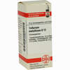 Tellurium Metallicum D12 Globuli 10 g - ab 7,55 €