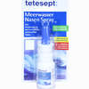 Tetesept Meerwasser Nasenspray  20 ml