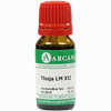 Thuja Araca Lm 12 10 ml - ab 10,28 €