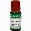 Thuja Arca Lm 18 10 ml - ab 10,28 €