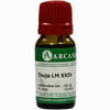Thuja Arca Lm 24 10 ml - ab 10,92 €