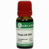 Thuja Arca Lm 60 10 ml - ab 12,48 €