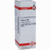 Thuja C200 Dilution 20 ml - ab 14,21 €