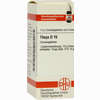 Thuja D15 Globuli 10 g - ab 8,39 €