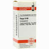 Thuja D60 Globuli 10 g - ab 12,35 €