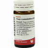 Thuja E Summitatibus D30 Globuli 20 g - ab 9,86 €