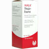 Thuja- Essenz  100 ml - ab 10,62 €