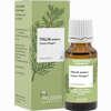 Thuja Extern Tinktur Pflüger 20 ml - ab 5,75 €