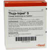 Thuja- Injeel S Ampullen  10 Stück - ab 16,86 €