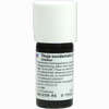Thuja Occid Urtinktur Dilution 20 ml - ab 16,44 €