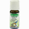 Thymian 15% in Weizenkeim Öl 10 ml - ab 5,52 €