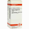 Thymus Vulg D3 Tabletten 80 Stück - ab 0,00 €