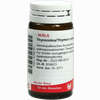 Thyreoidea/thymus Comp Globuli 20 g - ab 7,18 €