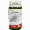 Tormentilla Comp Globuli 20 g - ab 7,15 €