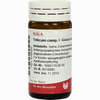 Triticum Comp I Globuli 20 g - ab 7,46 €