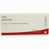 Uterus Gl D15 Ampullen 10 x 1 ml - ab 19,41 €